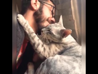 cat love for people