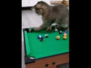 billiard lover)