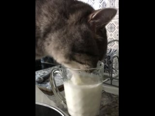 well, i love milk